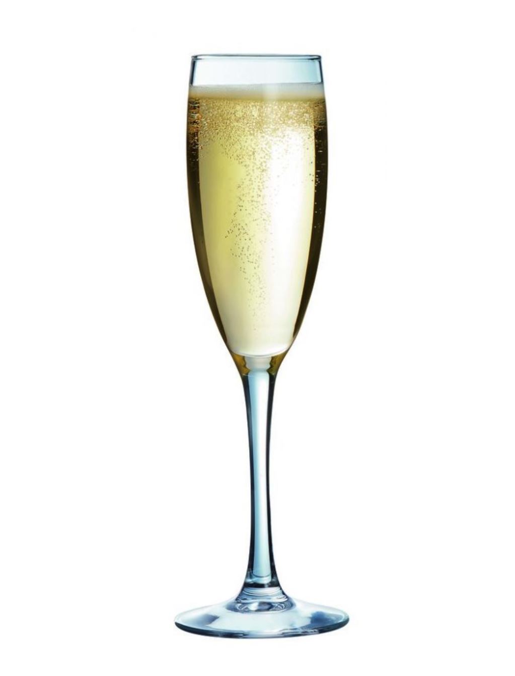Portfolio Flute 5.6oz 16cl